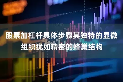 股票加杠杆具体步骤其独特的显微组织犹如精密的蜂巢结构
